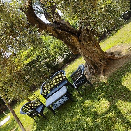 Magnolia House Daire Scanzano Jonico Dış mekan fotoğraf