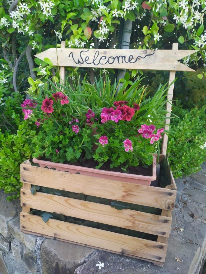 Magnolia House Daire Scanzano Jonico Dış mekan fotoğraf