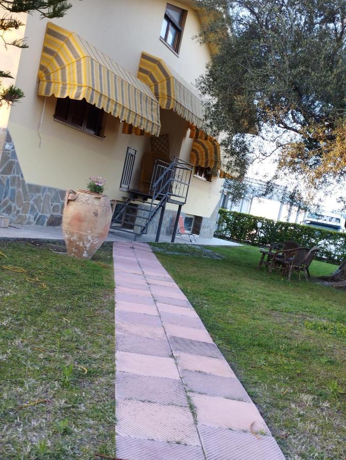 Magnolia House Daire Scanzano Jonico Dış mekan fotoğraf