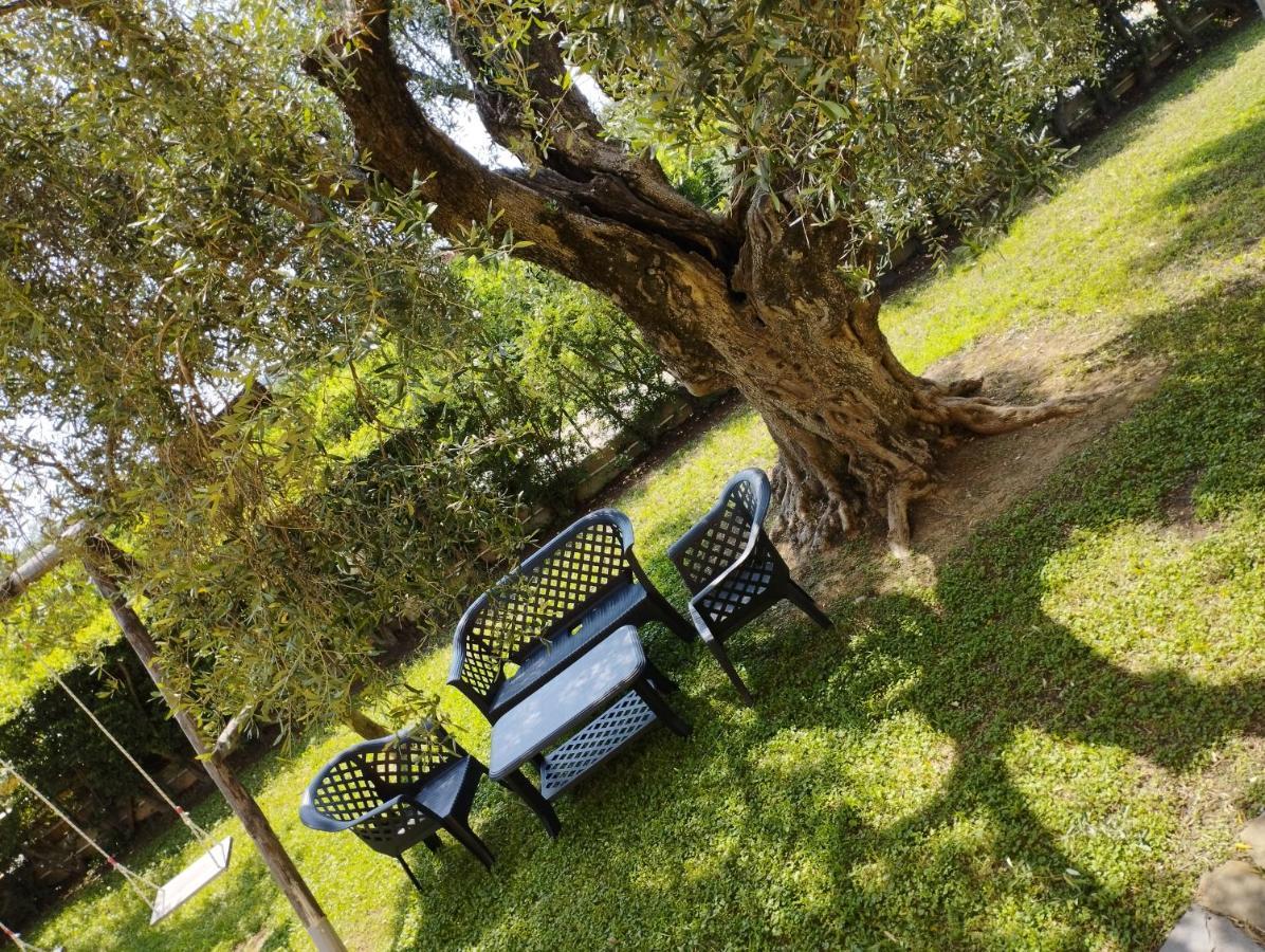 Magnolia House Daire Scanzano Jonico Dış mekan fotoğraf